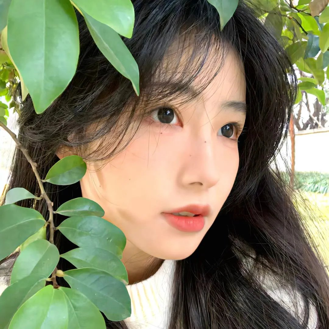 冬狮(电视剧)